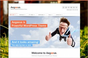 Top Selling WordPress Themes - Aegaeus