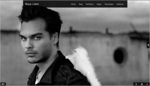 WordPress Video Themes - Black Label