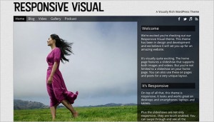 WordPress Video Themes - Responsive Visual