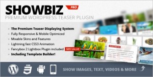 WordPress Plugins - ShowBiz Pro