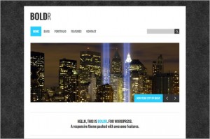 Best Free WordPress Themes - BoldR Lite