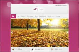 Quality WordPress Premium Themes - EmFavor