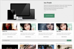 Best Free WordPress Themes - Ice Fresh