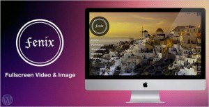 Eye-Catchy WordPress Themes - Fenix