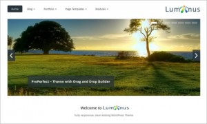 Luminus Free WordPress Theme