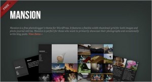 Mansion Free WordPress Theme