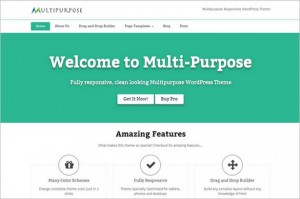Mind Blowing WordPress Themes - Multipurpose