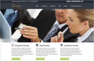 Terrifico Free WordPress Theme