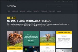Pinterest Inspired Themes for WordPress - Streak