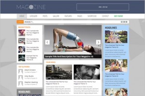News Magazine WordPress Themes - Magazine