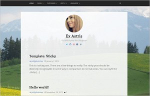 Free Content Focused WordPress Themes