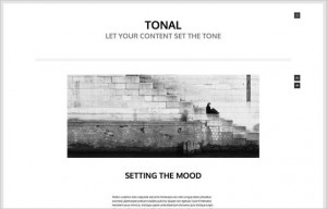 Free Content Focused WordPress Themes