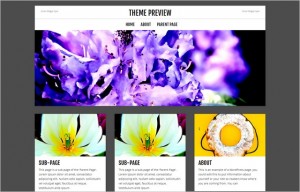 New Smashing Free WordPress Themes