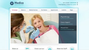Starting a Healthcare Website?