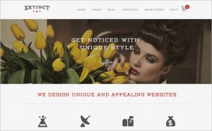 WordPress Themes With Elegant Vintage and Retro Design