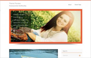 New Great Looking Free WordPress Themes June 2014