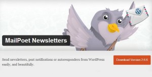 Amazingly Effective Newsletter Plugins Tailored for Your WordPress Blog