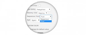Build Beautiful Galleries with Fast Gallery WordPress Plugin