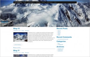 Excellent Collection of Free WordPress Themes