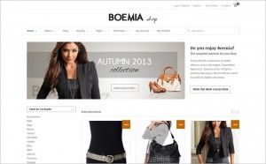 How to Choose a WordPress Theme
