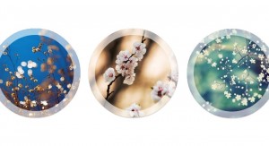 Amazing Hover Effects - Free WordPress Plugin