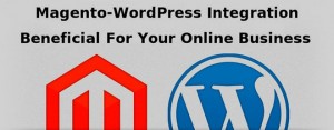 Magento-WordPress Integration - Is it beneficial for your online business?