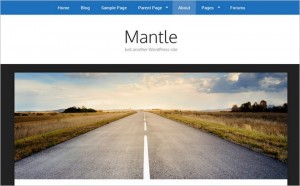 New Child Themes In The WordPress Themes Directory