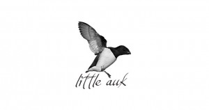 Little Auk - A Free Minimalist WordPress Theme