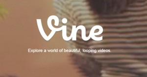 Twitter Releasing Vine WordPress Plugin to Automatically Turn Vine Links Into Embedded Vines