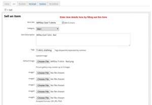 How to Set up an Auction Site like eBay