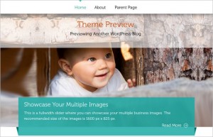 WordPress Themes for Small Businesses 2015