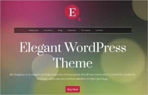 WordPress Themes for Small Businesses 2015