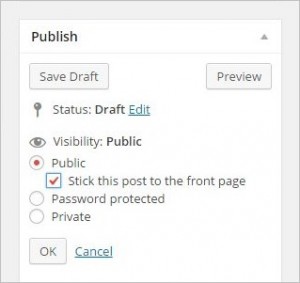 How to add Sticky Post in WordPress for Categories