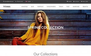 40 Of the Best WordPress eCommerce Themes