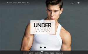 40 Of the Best WordPress eCommerce Themes