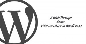 A Walk Through Some Vital Variables in WordPress