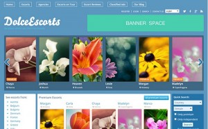 40 Best Directory WordPress Themes 2015