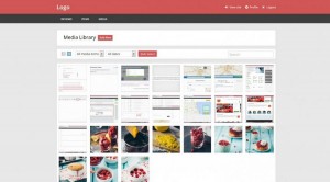 Everything You Need to Know About WordPress Admin Themes