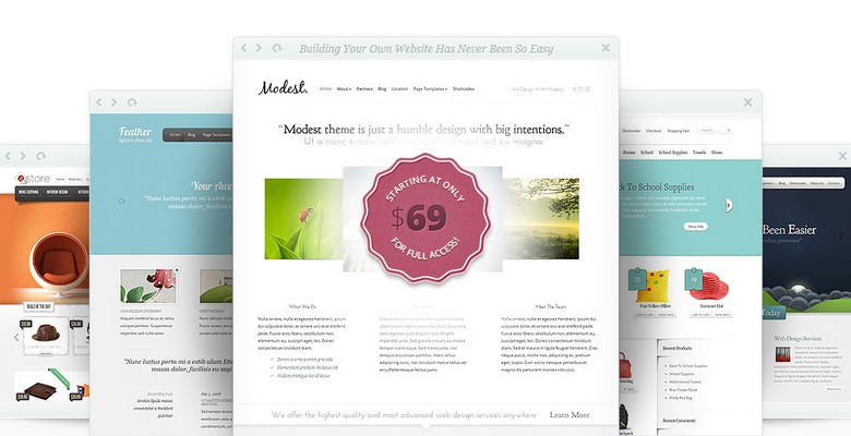 How Elegant Themes Just Skyrocketed Their Value as a WordPress Theme Shop