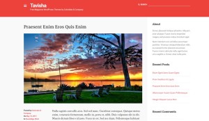 Tavisha - A Free Magazine WordPress Theme from Colorlabs