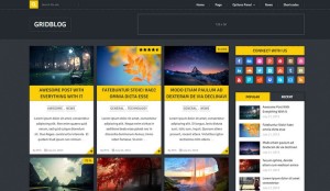 GridBlog - A Modern Grid-Based Free WordPress Theme from MyThemeShop