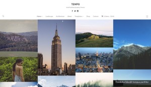 New Premium WordPress Themes Released in July 2015