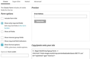 How MailChimp Can Be Integrated in Your WordPress Website