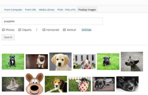 WordPress Photo Plugins for All of Your Photo Needs