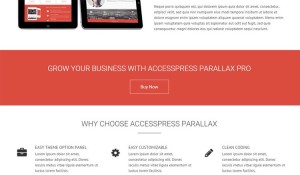 AccessPress Parallax PRO Review – A Beautiful WordPress Theme with Parallax Design
