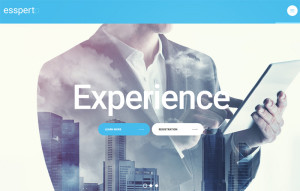 Monstroid: Welcome the Ever-growing Collection of WordPress Designs