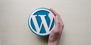 Utilizing the Power of Social Media for a WordPress Site Launch
