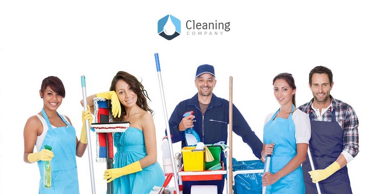 PixelEmu Presents PE Cleaning Company, The Perfect WordPress Theme For Small Businesses