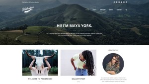 New Premium WordPress Themes November 2015 Edition