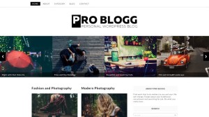 Top 10 New Free WordPress Themes November 2015 Edition
